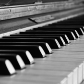 Tasteninstrumente / Keyboard, Klavier (E-Piano), Orgel